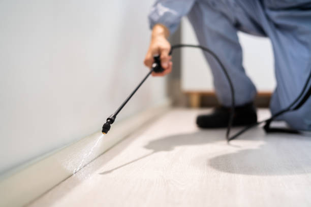 Licensed Cockroach Control service in West Point, MS - Nex Pest Control