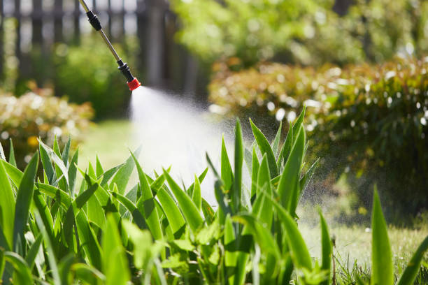 24/7 Emergency Cockroach Control experts in West Point, MS