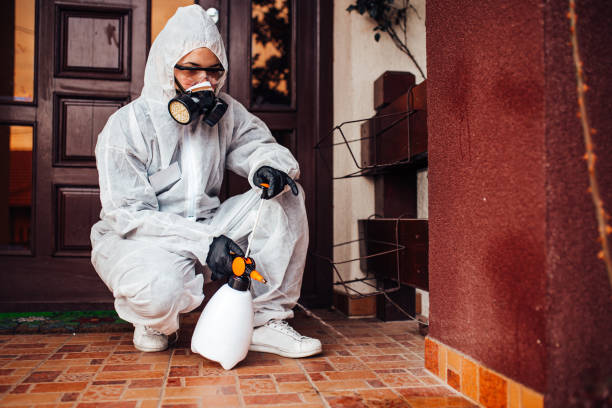 Reliable Cockroach Control contractor in West Point, MS by Nex Pest Control
